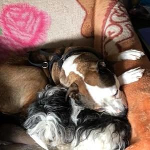 Meet your Posher, Donna